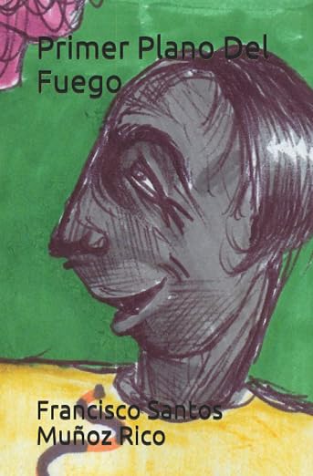 Portada de Primer plano del fuego
